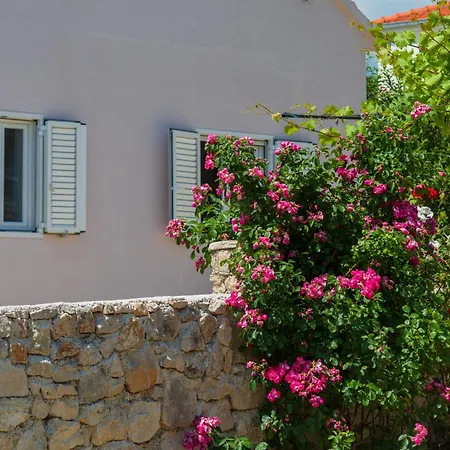Harmony Nature Retreat - Private House- * Šestanovac